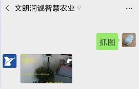 文朗润诚智慧农业 文朗润诚智慧农业